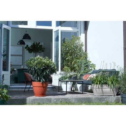Elho Terrassentopf Vibia Campana Rechteckig 80 Cm X 33 Cm X 35 Cm Living Beton 6 Elho Terrassentopf Vibia Campana Rechteckig 80 Cm X 33 Cm X 35 Cm Living Beton – Bild 4