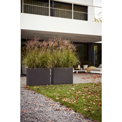 Elho Blumentopf Pure Soft Brick Divider Rollen 80 Cm X 30 Cm X 59 Cm Anthrazit 6 Elho Blumentopf Pure Soft Brick Divider Rollen 80 Cm X 30 Cm X 59 Cm Anthrazit – Bild 4