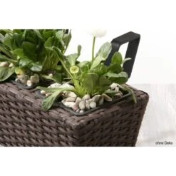 Gartenfreude Balkonkasten Polyrattan 47 Cm X 17 Cm Mocca 4er-Set -Garten & Außenbereich 159786 4655 pt02