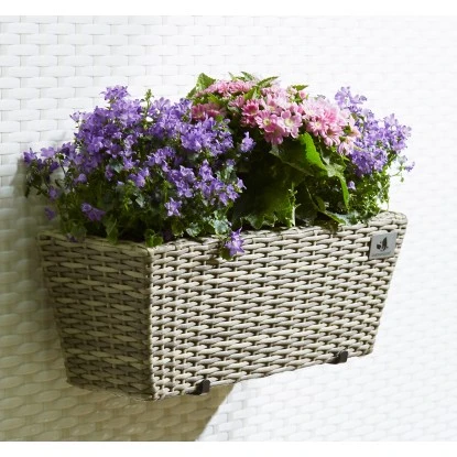Gartenfreude Balkonkasten Polyrattan 47 Cm X 17 Cm Naturfarben 2 Stück 4 Gartenfreude Balkonkasten Polyrattan 47 Cm X 17 Cm Naturfarben 2 Stück – Bild 2