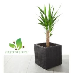 Gartenfreude Pflanzkübel Polyrattan 28 Cm X 28 Cm X 28 Cm Schwarz -Garten & Außenbereich 159875 4655 pt01