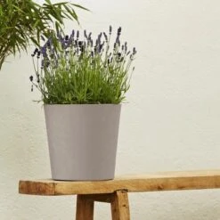 Poétic Pflanztopf Element Ø 40 Cm X 32 Cm Kalkstein -Garten & Außenbereich 173473 2984 3