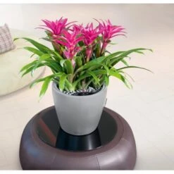 Lechuza Pflanzgefäß Classico Premium LS Ø 22 Cm X 21 Cm Silber Metallic -Garten & Außenbereich 261310 4186 3