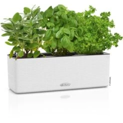 Lechuza Pflanzgefäß Cube Color Triple 40 Cm X 14 Cm X 14 Cm Weiß 9 Lechuza Pflanzgefäß Cube Color Triple 40 Cm X 14 Cm X 14 Cm Weiß -Garten & Außenbereich 262620 4186 3