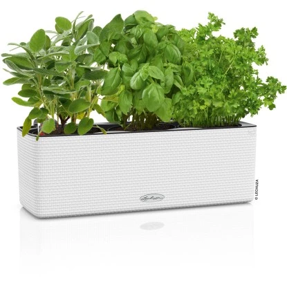 Lechuza Pflanzgefäß Cube Color Triple 40 Cm X 14 Cm X 14 Cm Weiß 5 Lechuza Pflanzgefäß Cube Color Triple 40 Cm X 14 Cm X 14 Cm Weiß – Bild 3
