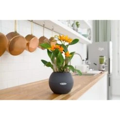 Lechuza Pflanzgefäß Puro Color Ø 20 Cm X 16 Cm Schiefergrau 8 Lechuza Pflanzgefäß Puro Color Ø 20 Cm X 16 Cm Schiefergrau -Garten & Außenbereich 262752 4186 3