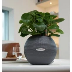 Lechuza Pflanzgefäß Puro Color Ø 20 Cm X 16 Cm Schiefergrau 9 Lechuza Pflanzgefäß Puro Color Ø 20 Cm X 16 Cm Schiefergrau -Garten & Außenbereich 262752 4186 4