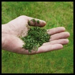 Einhell Power X-Change Akku-Rasenmäher GE-CM 36/48 Li M-Solo -Garten & Außenbereich 4006825660654 2171 07 1