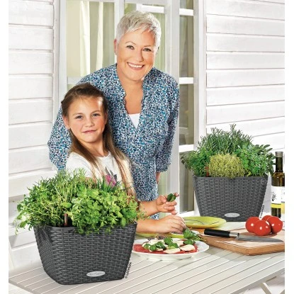 Lechuza Pflanzgefäß Bacino Cottage Granit 30 X 30 Cm Mit Erdbewässerungssystem 6 Lechuza Pflanzgefäß Bacino Cottage Granit 30 X 30 Cm Mit Erdbewässerungssystem – Bild 4