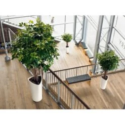 Lechuza Pflanzgefäß Delta Premium Ø 30 Cm X 56 Cm Weiß Hochglanz -Garten & Außenbereich 4008789155009 4186 8