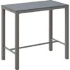 Garten-Bartisch Geelong Rechteckig Grau 110 Cm X 60 Cm 1 Garten-Bartisch Geelong Rechteckig Grau 110 Cm X 60 Cm -Garten & Außenbereich 4048126606894 S01 050820
