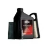 Wartungskit Briggs & Stratton 1 Wartungskit Briggs & Stratton -Garten & Außenbereich 5515580 1159 1