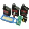 Wartungs-Kit Briggs & Stratton -Garten & Außenbereich 551565 1159 1