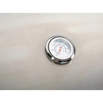 OBI Gasgrill Thunder Bay 2-Brenner Mit Seitenkocher 4 OBI Gasgrill Thunder Bay 2-Brenner Mit Seitenkocher – Bild 2