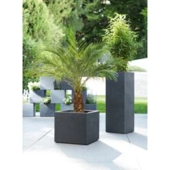 Scheurich Pflanzgefäß C-Cube High Ø 26 Cm Stony Grey 12 Scheurich Pflanzgefäß C-Cube High Ø 26 Cm Stony Grey -Garten & Außenbereich 6044762 4357 240 70 3