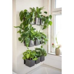 Lechuza Pflanzgefäße Green Wall Home Kit Glossy Set Anthrazit Highgloss -Garten & Außenbereich 754140 4186 3