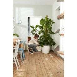 Elho Blumentopf Brussels Rund Mit Rollen Ø 35 Weiß -Garten & Außenbereich 8360893 4667 3