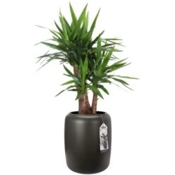 Elho Übertopf Pure Beads Medium Ø 39,2 Cm Walnussbraun -Garten & Außenbereich 8711904350208 4667 06