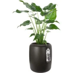 Elho Übertopf Pure Beads Medium Ø 39,2 Cm Walnussbraun -Garten & Außenbereich 8711904350208 4667 07