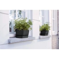 Elho Übertopf Greenville 18,5 Cm X 69 Cm Living Schwarz 19 Elho Übertopf Greenville 18,5 Cm X 69 Cm Living Schwarz -Garten & Außenbereich 8711904357702 4667 09
