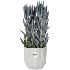 Elho Blumentopf Vibes Fold Mit Rollen Ø 34,9 Cm Seidenweiß -Garten & Außenbereich 8711904494728 4667 05