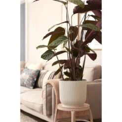 Elho Blumentopf Vibes Fold Mit Rollen Ø 34,9 Cm Seidenweiß -Garten & Außenbereich 8711904494728 4667 08