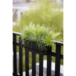 Elho Übertopf Greenville Easy Balcony 19,4 Cm X 52 Cm Living Schwarz 19 Elho Übertopf Greenville Easy Balcony 19,4 Cm X 52 Cm Living Schwarz -Garten & Außenbereich 8711904496395 4667 09