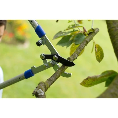 LUX Amboss Astschere Mit Getriebe Und Teleskopoierbaren Griffen 4 LUX Amboss Astschere Mit Getriebe Und Teleskopoierbaren Griffen – Bild 2