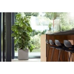 Elho Pflanztopf Vivo Matt Mit Rollen 39 Cm X 39 Cm X 41 Cm Warmes Grau 9 Elho Pflanztopf Vivo Matt Mit Rollen 39 Cm X 39 Cm X 41 Cm Warmes Grau -Garten & Außenbereich 9345463 4667 4