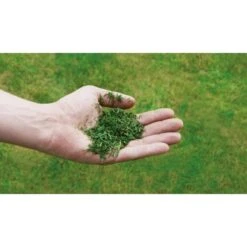 Einhell Benzin-Rasenmäher GC-PM 56/2 S HW 19 Einhell Benzin-Rasenmäher GC-PM 56/2 S HW -Garten & Außenbereich 978003 2171 08