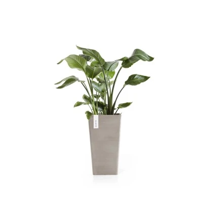 Ecopots Pflanztopf Rotterdam Halbhoch Braungrau 31 Cm X 56 Cm 4 Ecopots Pflanztopf Rotterdam Halbhoch Braungrau 31 Cm X 56 Cm – Bild 2