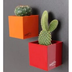 KalaMitica Kunststoffgefäß Mit Magnet Kasten 14 Cm X 7 Cm Blaugrün 17 KalaMitica Kunststoffgefäß Mit Magnet Kasten 14 Cm X 7 Cm Blaugrün -Garten & Außenbereich itica anwendungsbeispiel 3