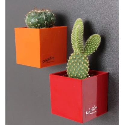 KalaMitica Kunststoffgefäß Mit Magnet Kasten 14 Cm X 7 Cm Blaugrün 6 KalaMitica Kunststoffgefäß Mit Magnet Kasten 14 Cm X 7 Cm Blaugrün – Bild 4