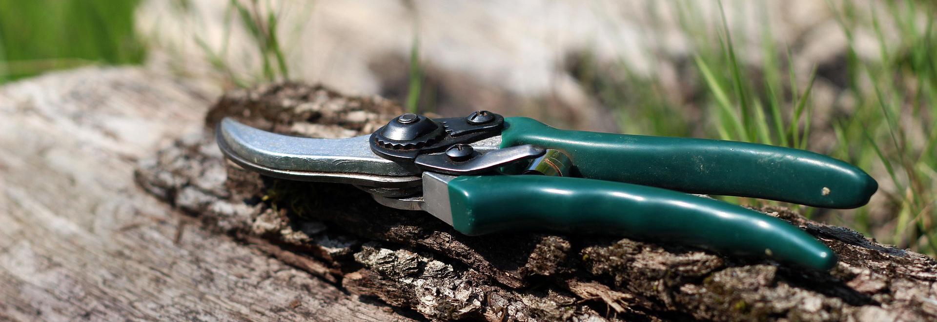 Garten & Außenbereich -Garten & Außenbereich shears 1336374 1920